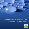 Grossesse & Bien-être avec New Age: Musique Zen Anti Stress pour Maman & Berceuse New Age pour Bebe, Musique Relaxation Détente pour Accouchement & Naissance