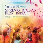 Baluji Shrivastav - Raga Vasant Bahar (Embrace of Spring)