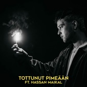 Tottunut pimeään (feat. Hassan Maikal) artwork