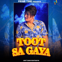 Amit Saini Rohtakiya - Toot Sa Gaya - Single artwork