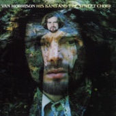 Van Morrison - I've Been Working