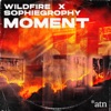 Moment (feat. Sophiegrophy) - Single