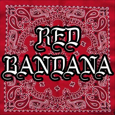 Red Bandana Pattern Poster for Sale by GutsyShop  Redbubble