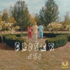 Closer - Single