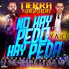 No Hay Pedo, Hay Peda - Single album lyrics, reviews, download