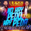 Banda Tierra Sagrada - No Hay Pedo, Hay Peda
