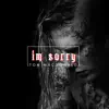 I'm Sorry - Single album lyrics, reviews, download