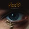 Ocean Eyes - HAAB lyrics