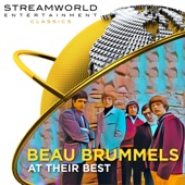 Beau Brummels - Just a Little