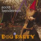 Scott Henderson - Hole Diggin'