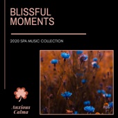 Blissful Moments (2020 Spa Music Collection) artwork