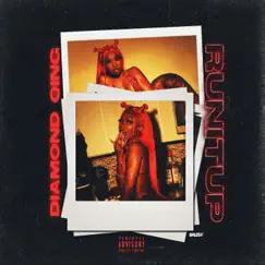 Run It Up - Single by Diamond Qing album reviews, ratings, credits