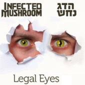 Legal Eyes artwork