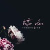 Better Place - Single