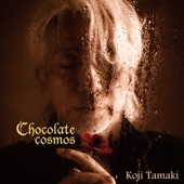 Chocolate cosmos artwork