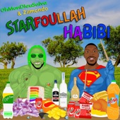 Starfoullah habibi artwork