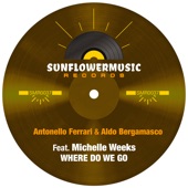 Where Do We Go (feat. Michelle Weeks) [F&B Meltemi Sole Mix] artwork
