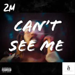 Can't See Me by 2M album reviews, ratings, credits