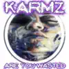 Are You Wasted?... - Single album lyrics, reviews, download