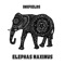 Elephas Maximus - Inkfields lyrics