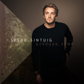 Sesde Sintuig artwork