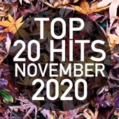 Top 20 Hits November 2020 (Instrumental) artwork
