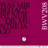 Stream & download Was mir behagt, ist nur die muntre Jagd, BWV 208: 9. Arie (Sopran) - Schafe können sicher weiden [Live]