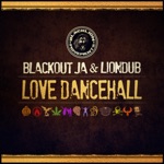 Blackout JA & Liondub - Hidden Truth (feat. Souls Liberation)