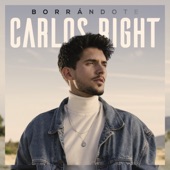 Borrándote artwork