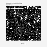 Disector - Delirium - EP artwork