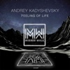 Feeling of Life - Single