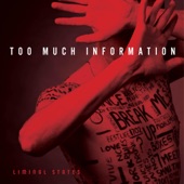 Too Much Information artwork