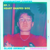 Glass Animals - Heart-Shaped Box
