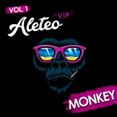 Aleteo Vip Monkey Vol.1 artwork