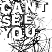 Can't See You artwork