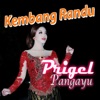 Kembang Randu - Single