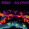 Liteyear (Radio Edit) - Jarvo & Big Smoke lyrics