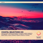 Coastal Selections 009 artwork