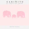 Divina Diosa (Cariñito Versión) - Single album lyrics, reviews, download
