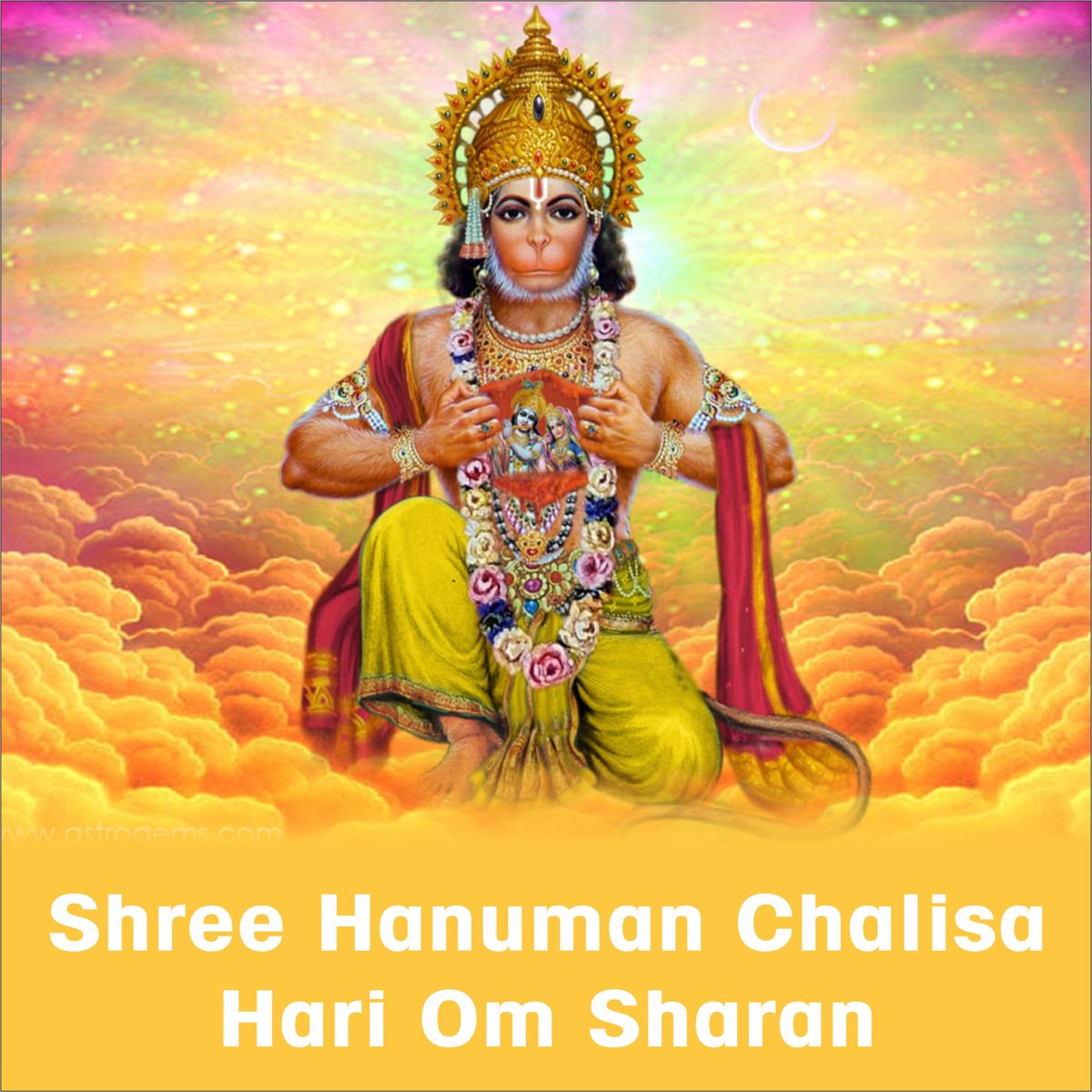 ‎Shree Hanuman Chalisa De Hari Om Sharan En Apple Music