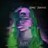 Assassin (Hippie Sabotage Remix) - Single album lyrics, reviews, download