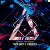 What I Need (Extended Mix) song lyrics