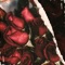 1,000 Roses - Mike Crigs lyrics