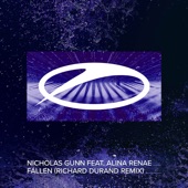 Fallen (feat. Alina Renae) [Richard Durand Extended Remix] artwork