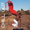 Chill Out - Rehd lyrics
