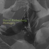 David Rothenberg - Playing into the Machine (For Pauline Oliveros)