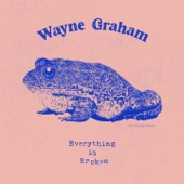 Wayne Graham - Everything Is Broken