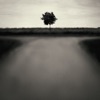 AKnewGod - Indifferent