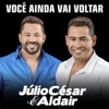 Você Ainda Vai Voltar - Single