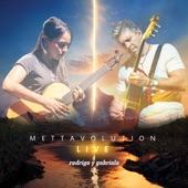 Mettavolution Live artwork